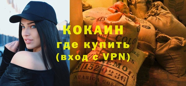 стафф Гусев